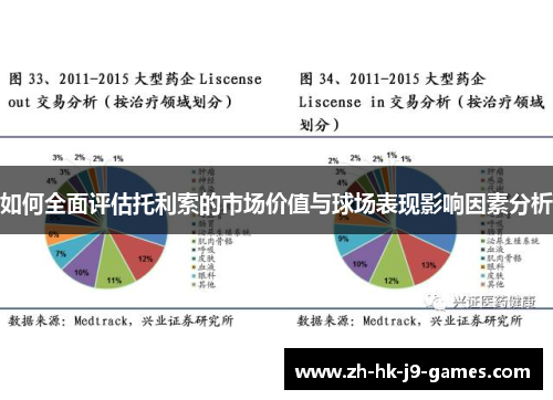 如何全面评估托利索的市场价值与球场表现影响因素分析 如何全面评估托利索的市场价值与球场表现影响因素分析