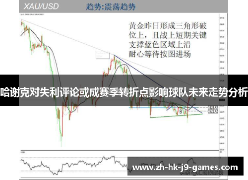 哈谢克对失利评论或成赛季转折点影响球队未来走势分析