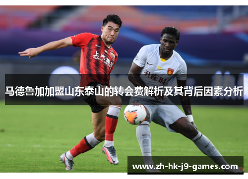 马德鲁加加盟山东泰山的转会费解析及其背后因素分析 马德鲁加加盟山东泰山的转会费解析及其背后因素分析